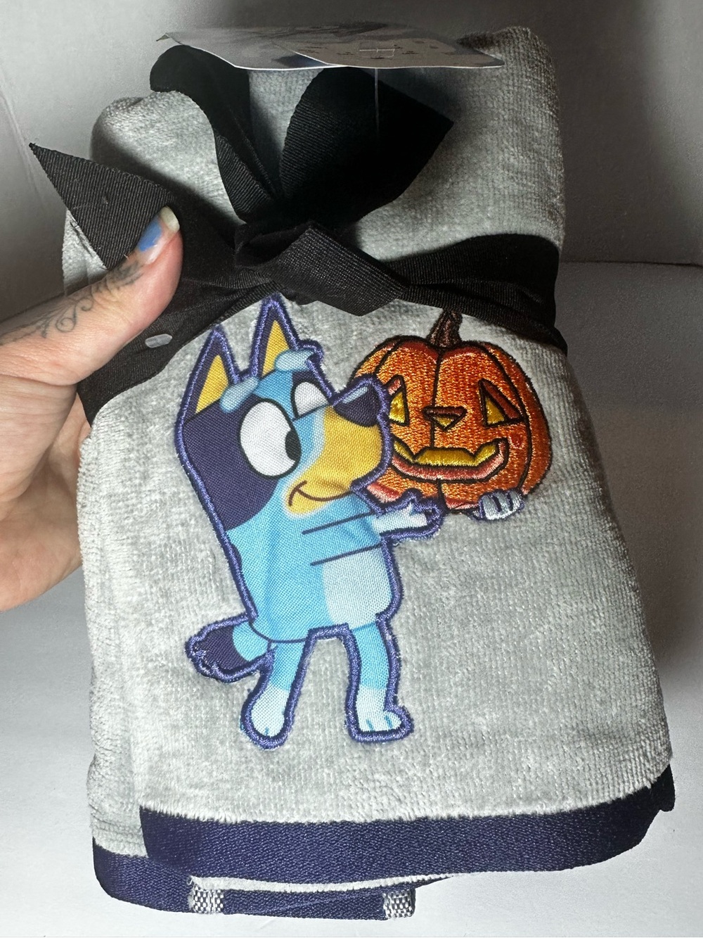 2 Pack Bluey Halloween Pumpkin Hand Towels Kitchen Towels New with Tag